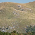 201911061246-DSC05030RX10M4.jpg