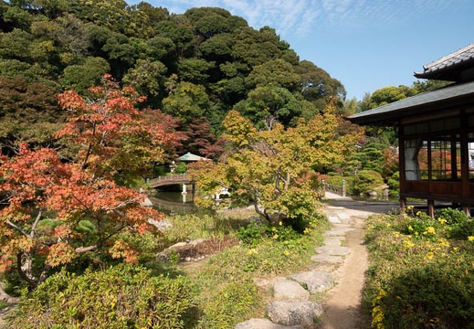 201911131016-DSC05976RX10M4.jpg