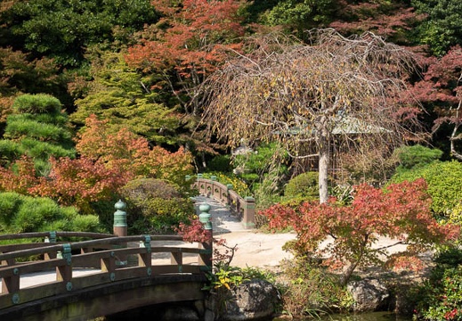 201911131038-DSC06035RX10M4.jpg