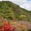 201911141315-DSC06702RX10M4.jpg