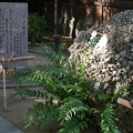 201911161350-DSC08170RX10M4.jpg