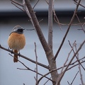 202001011454-DSC05104RX10M4.jpg