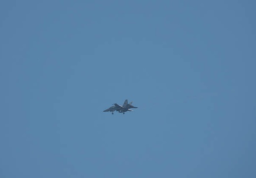 202001211248-DSC05607RX10M4.jpg