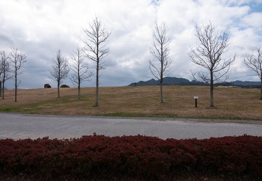 202001311318-DSC06337RX10M4.jpg