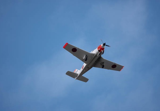 202001311321-DSC06364RX10M4.jpg