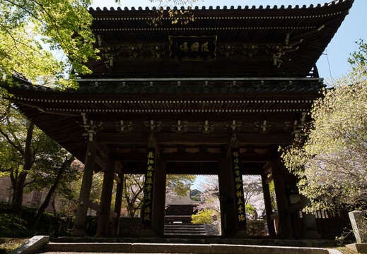 202004071233-DSC00251RX10M4.jpg