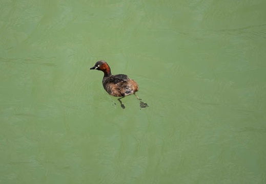 202004271248-DSC00638RX10M4.jpg