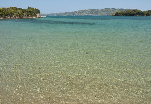 202004281100-DSC00830RX10M4.jpg
