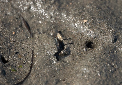 202006101537-DSC02290RX10M4.jpg