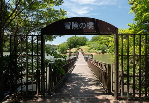202006161322-DSC02477RX10M4.jpg