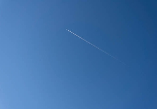202008131741-DSC09698N5R.jpg