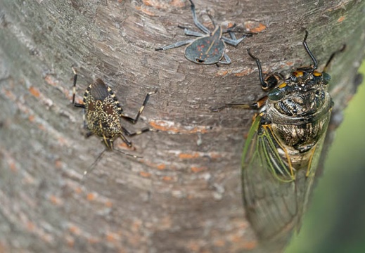 202008171309-DSC03362RX10M4.jpg