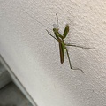 20200909150522-MI9.jpg