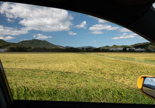 202009141440-DSC03867RX10M4.jpg
