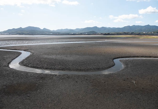202009141450-DSC03879RX10M4.jpg