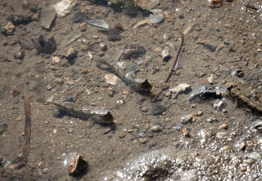 202009141504-DSC03919RX10M4.jpg