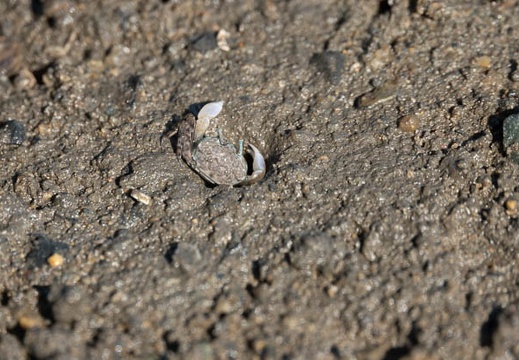 202009141509-DSC03942RX10M4.jpg