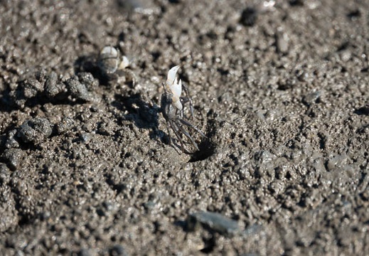202009141513-DSC03957RX10M4.jpg