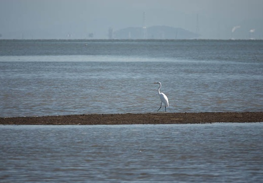202009141517-DSC03980RX10M4.jpg