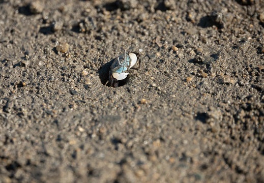 202009141522-DSC03987RX10M4.jpg