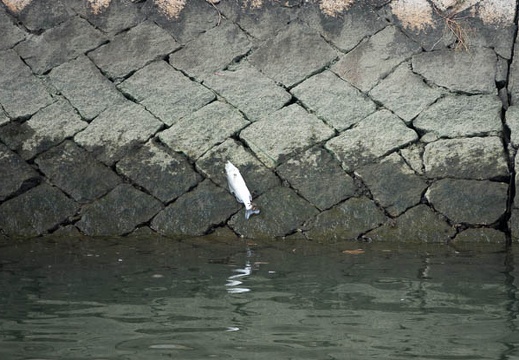 202009191529-DSC04179RX10M4.jpg