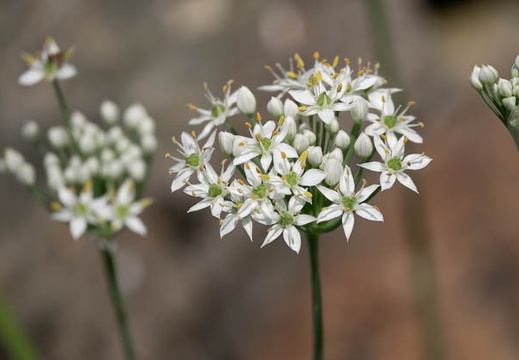 202009201233-DSC04266RX10M4.jpg