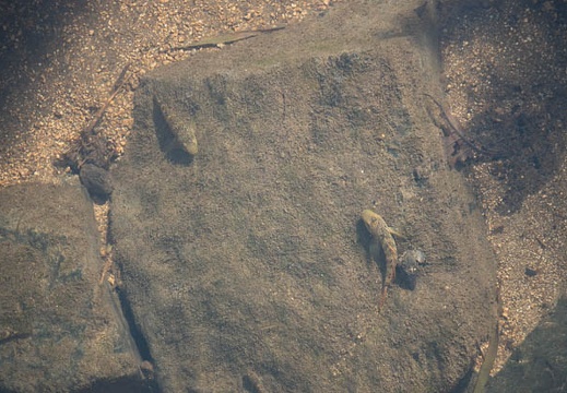 202009201315-DSC04401RX10M4.jpg