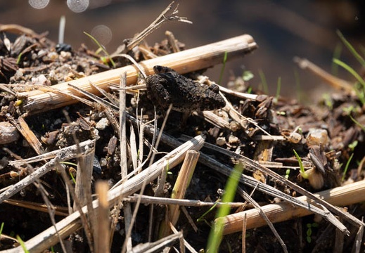 202009211018-DSC04604RX10M4.jpg