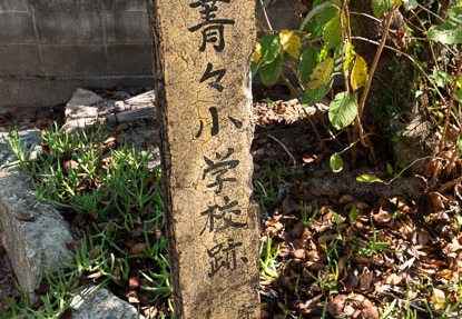 202009211021-DSC04626RX10M4.jpg