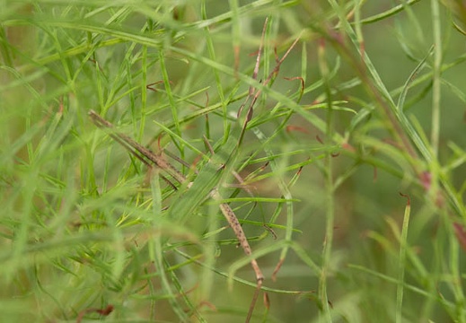 202009221118-DSC04875RX10M4.jpg