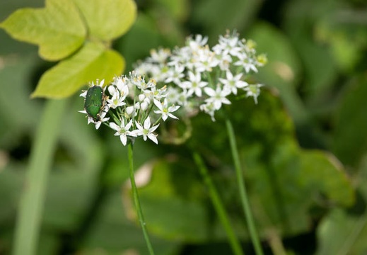 202009271224-DSC05697RX10M4.jpg