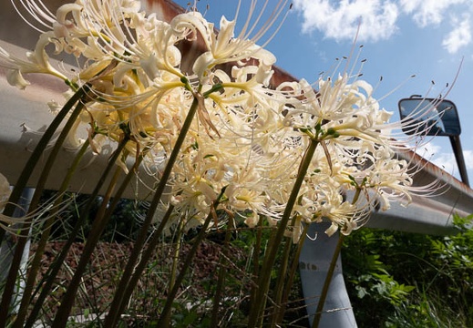 202009271318-DSC05883RX10M4.jpg