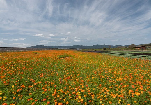 202009281210-DSC06210RX10M4.jpg