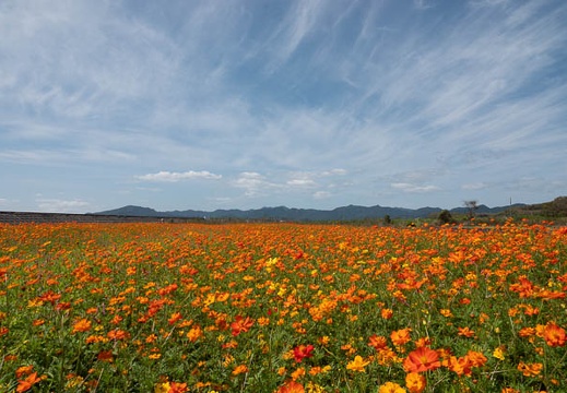 202009281226-DSC06281RX10M4.jpg