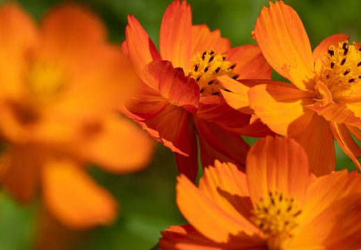 202009281305-DSC06408RX10M4.jpg