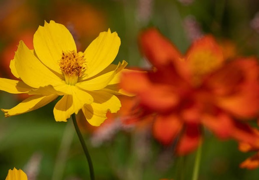 202009281307-DSC06413RX10M4.jpg