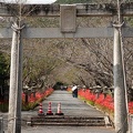 202009291200-DSC06972RX10M4.jpg