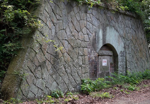 202009301106-DSC07417RX10M4.jpg