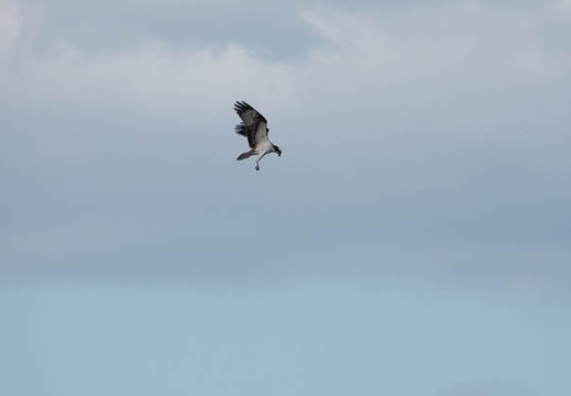 202010061030-DSC08897RX10M4.jpg