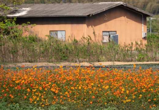 202010061049-DSC08976RX10M4.jpg