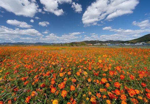 202010061059-DSC09722N5R.jpg