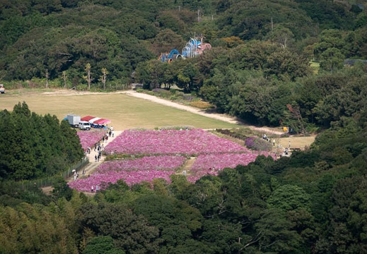 202010071010-DSC09584RX10M4.jpg