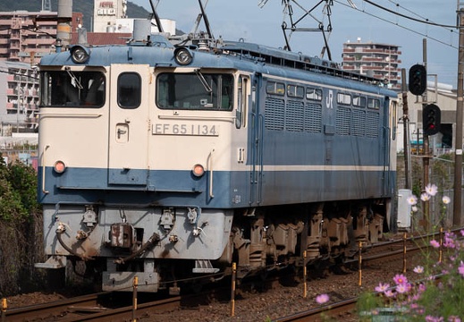 202010111427-DSC00443RX10M4.jpg