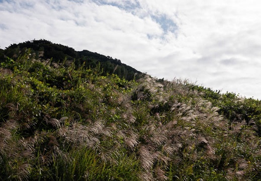 202010111433-DSC00468RX10M4.jpg