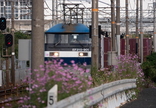 202010111436-DSC00476RX10M4.jpg