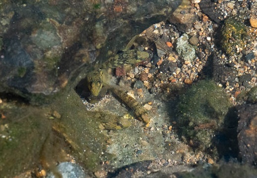 202010141226-DSC02131RX10M4.jpg