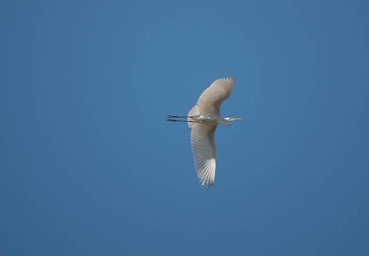202010141423-DSC02426RX10M4.jpg