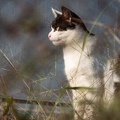 202010141626-DSC02755RX10M4.jpg