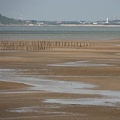 202010151410-DSC03372RX10M4.jpg