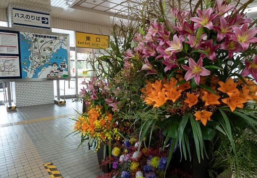 202010161148-DSC03481RX10M4.jpg